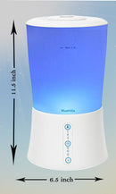 2l Diffuser