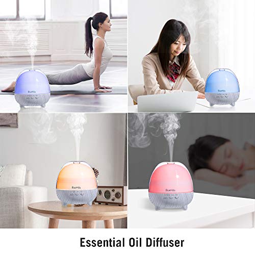 diffuser large room 1000ml
