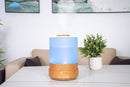 2500 ml xl essential oil diffuser