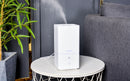 diffuser 1000ml